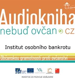 Institut osobního bankrotu