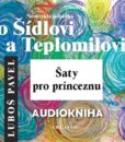 Neobvyklá pohádka o Šídlovi a Teplomilovi