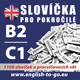 Slovíčka pro pokročilé B2