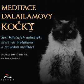 Meditace dalajlamovy kočky