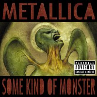 Metallica – Some Kind Of Monster – CD