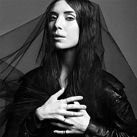 Lykke Li – I Never Learn – LP