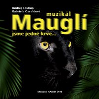 Různí interpreti – Muzikál MAUGLÍ - Jsme jedné krve – CD