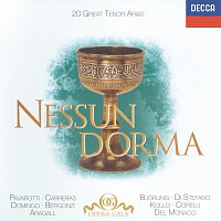 Různí interpreti – 20 Great Tenor Arias - "Nessun Dorma" - Bizet / Donizetti / Puccini / Verdi etc. – CD