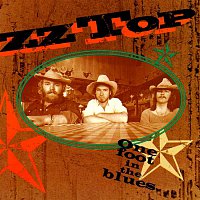 ZZ Top – One Foot In The Blues – CD