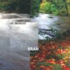 Bran – An delienn CD