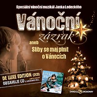 Různí interpreti – Muzikál: Vánoční zázrak aneb Sliby se maj plnit o Vánocích / 12 vánočních nej... (De luxe Edition) – CD