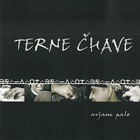 Terne Čhave – Avjam Pale – CD