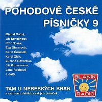 Různí interpreti – Pohodové české písničky 9 – CD