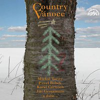 Různí interpreti – Country Vánoce – CD