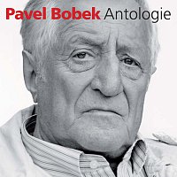 Pavel Bobek – Antologie – CD