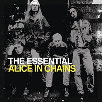 Alice In Chains – The Essential Alice In Chains – CD