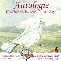 Různí interpreti – Antologie moravské lidové hudby - CD6 Svatební písně – CD