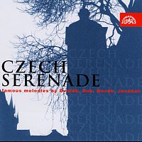 Různí interpreti – Česká serenáda - výběr – CD