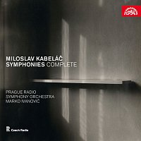 Symfonický orchestr Českého rozhlasu