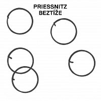 Priessnitz – Beztíže – LP