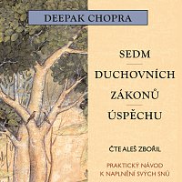 Aleš Zbořil – Sedm duchovních zákonů úspěchu (MP3-CD) – CD-MP3