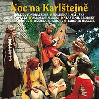 Různí interpreti – Noc na Karlstejne – CD