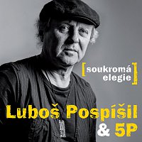 Luboš Pospíšil