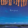 Paul McCartney – Off The Ground CD