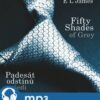 Fifty Shades of Grey: Padesát odstínů šedi