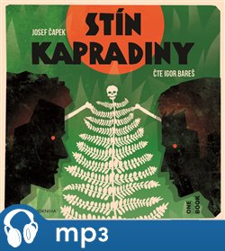 Stín kapradiny